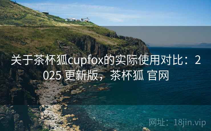 关于茶杯狐cupfox的实际使用对比：2025 更新版，茶杯狐 官网