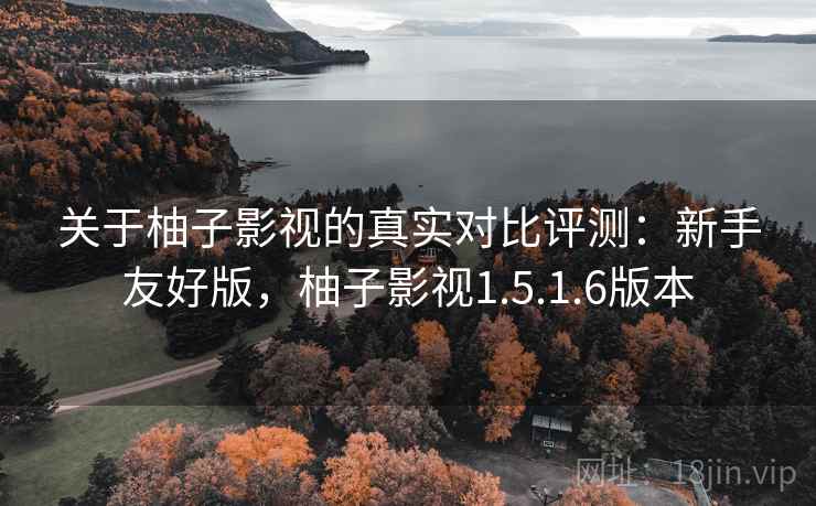 关于柚子影视的真实对比评测：新手友好版，柚子影视1.5.1.6版本