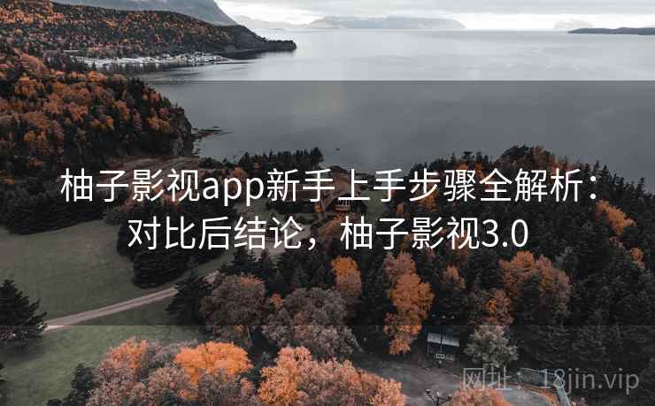 柚子影视app新手上手步骤全解析：对比后结论，柚子影视3.0